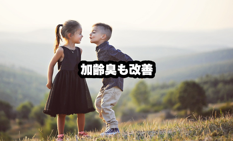Amazon Co Jp  